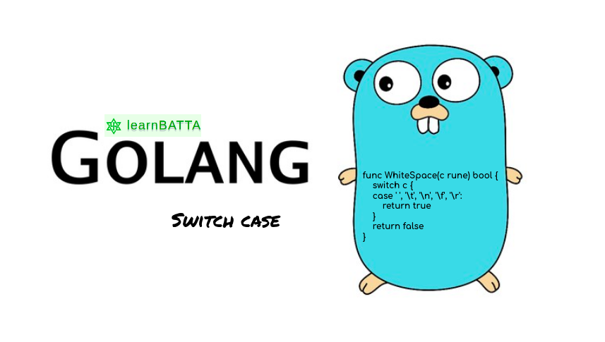 Golang Switch Case