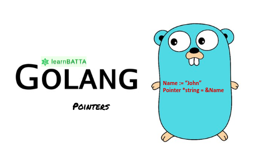 Golang Working with pointers