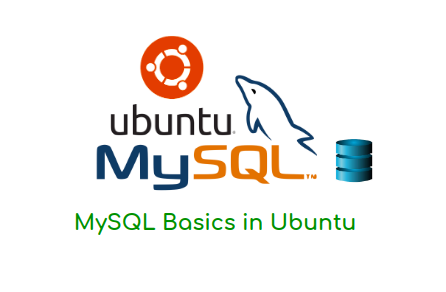 Mysql Basics In Ubuntu