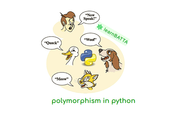 Python Polymorphism