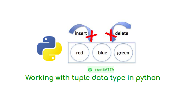 Python Working With Tuple Data Type